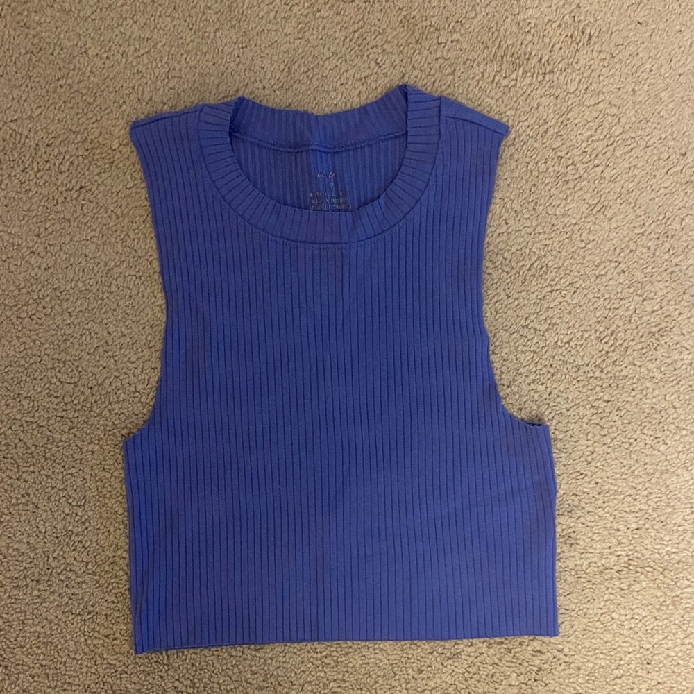 Aerie Cropped Ribbed Tank